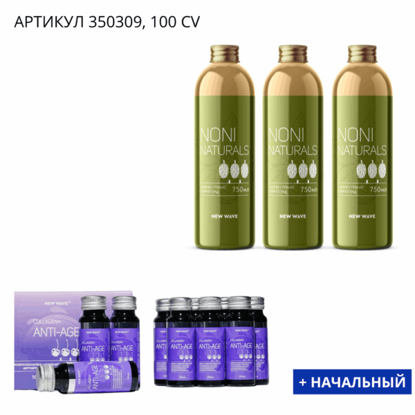Бизнес набор +Начальный 350309 - Image 1